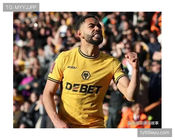 德甲转会窗口风云突变：新星强势加盟，核心球员去留成焦点