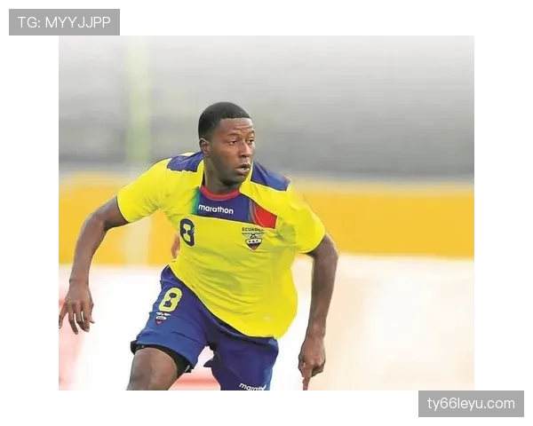 秘鲁队控场有力锁定胜局，稳健表现引发关注