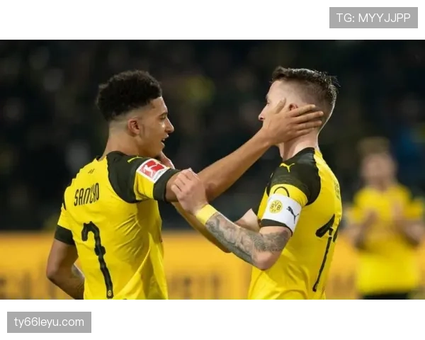 豪门竞相抢购新星，转会市场热度飙升引多方关注