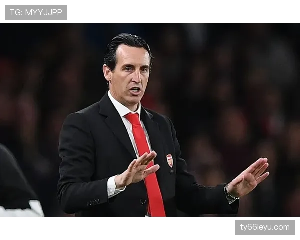 扎伊尔·埃梅里表现稳健，未来职业生涯前景备受关注