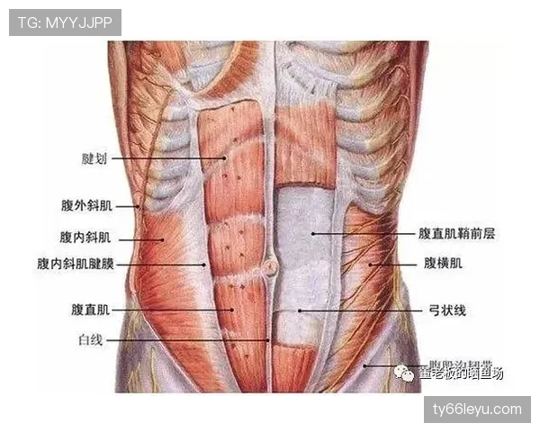 贝林厄姆家冰箱里塞满蛋白粉，连狗都练出腹肌了